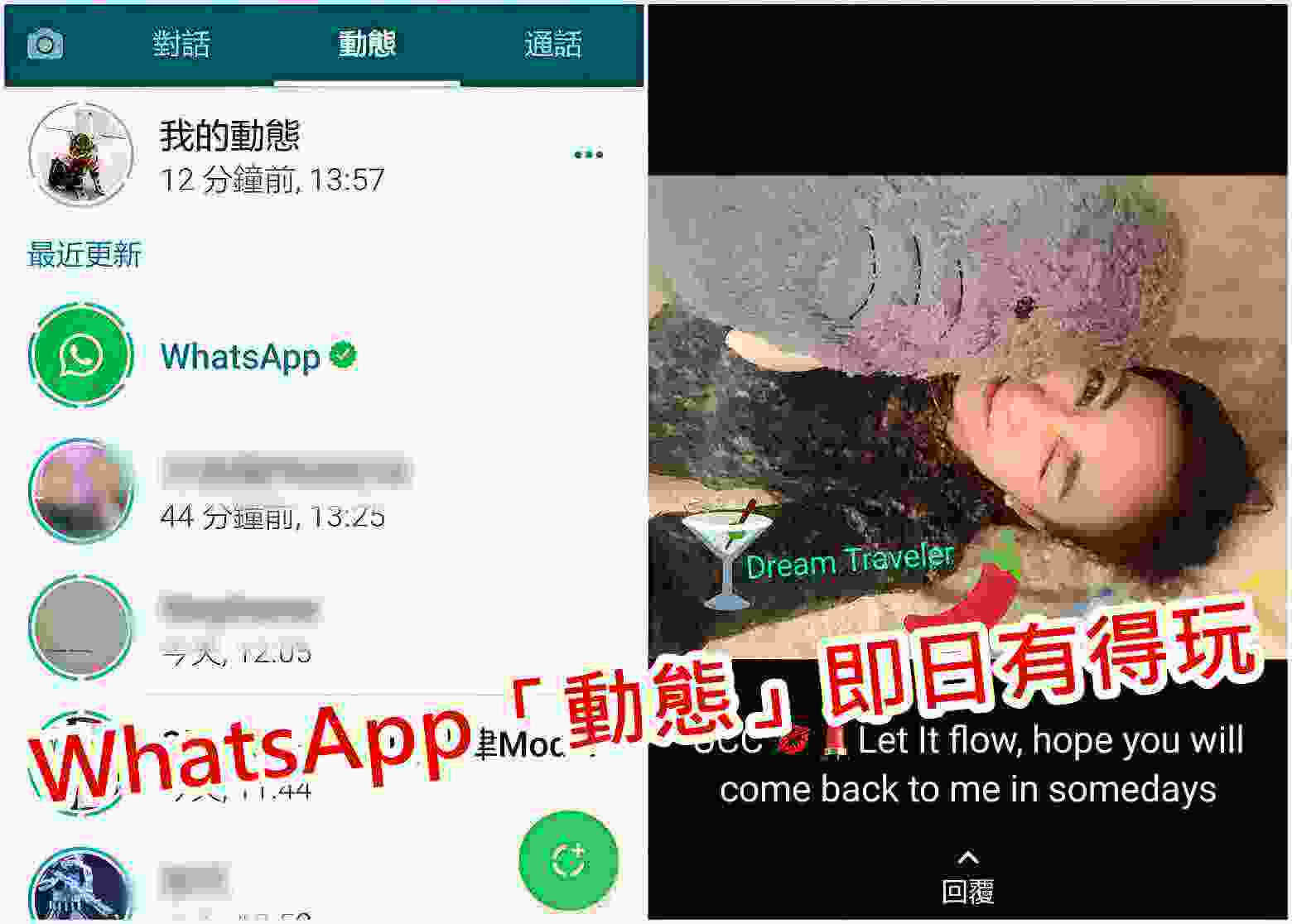 掌握WhatsApp动态功能有哪些实用技巧？